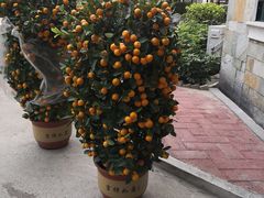 -广东外语外贸大学(白云山校区)