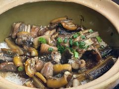 -红星光发煲仔饭(文海店)
