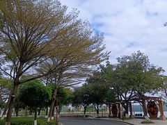 -仙湖旅游度假区