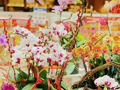 -新城市广场