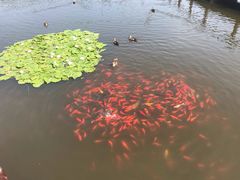 -前关湿地公园