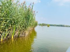 -野鸭湖国家湿地公园