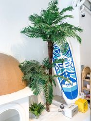 -好看加白色房子