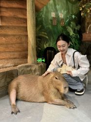 -Zoolung Zoolung动物主题公园(海信广场店)