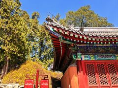 -香山公园