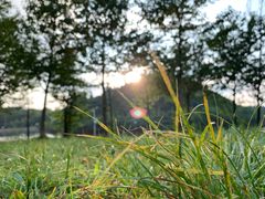 -山王坪喀斯特国家生态公园