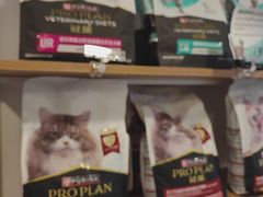 -宠颐生汉谟拉比宠物医院