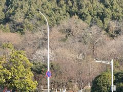 -云龙山
