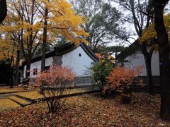 -北京鹫峰国家森林公园