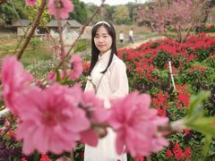 -松山湖梦幻百花洲