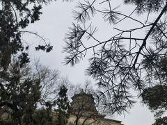 -颐和园