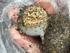 -叶氏麻糍(鼓浪屿店)