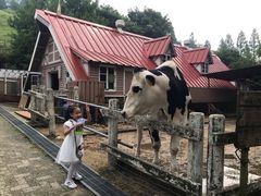 -神户市立六甲山牧场