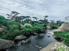 -罗红摄影艺术馆