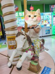 -莫莉幻想儿童乐园(北京天通苑华联店)