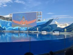 -上海海昌海洋公园
