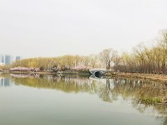 -大兴滨河森林公园