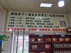 -蘑统田下·野生菌火锅