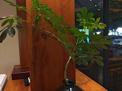 -鸥迪足道(湖南示范店)