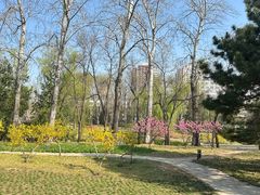 -元大都城垣遗址公园