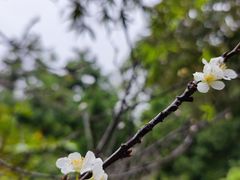 -广州市白云山风景名胜区