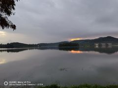-美的鹭湖森林度假区