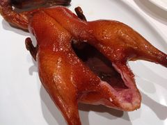 首创昆明BB乳鸭-东富酒家(龙湖西溪天街店)