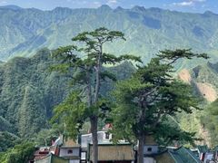 -圣莲山风景区
