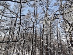 -崂山巨峰游览区