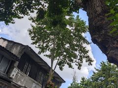 -守英猪脏粉(仓桥街店)
