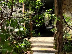 -森SPA·泰式按摩·精油Massage(宝安中心店)