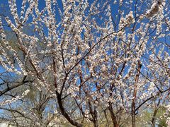 -天天初二·天津传统捞面·天津特色菜(凌奥总店)