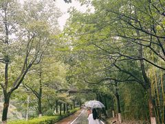 -长谷洞天