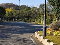-羊山湖公园