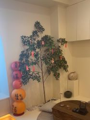 -唯奈斯肌肤管理中心