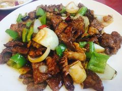 -津津乐乐
