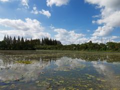 -上海长兴岛郊野公园