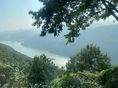 -铁山坪森林公园