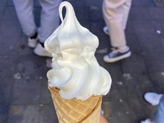 -蜜雪冰城(托乐嘉店)