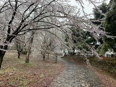 -四明山国家森林公园