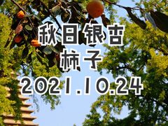 -北京石刻艺术博物馆(五塔寺)