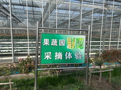 -苏州太湖西山岛开心农场