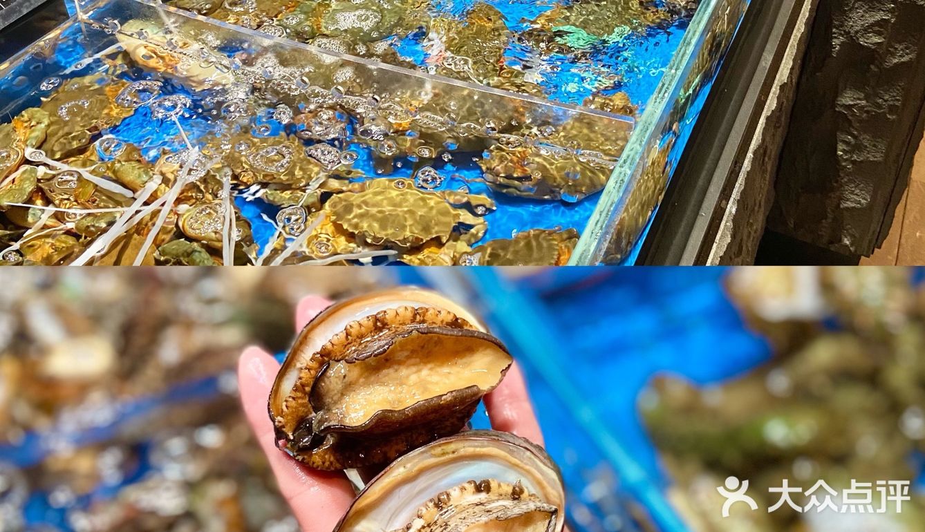 深圳这家海鲜真的不要太肥美太生猛🦞‼️