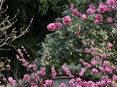 -望江楼公园