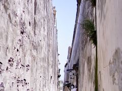 -乌镇东栅景区