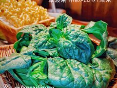 笨菠菜-巴奴毛肚火锅(悠唐购物中心店)