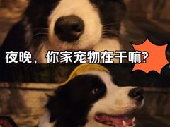 -瑞虹新天地月亮湾
