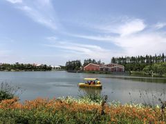 -上海长兴岛郊野公园