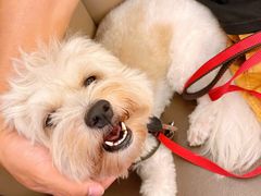 -永盈茶餐厅(中山四路店)