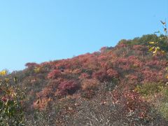 -北京西山国家森林公园